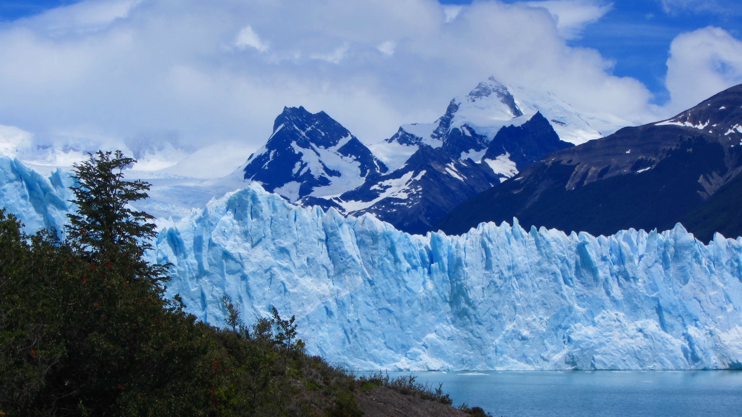 More than 60 meter high glacier front